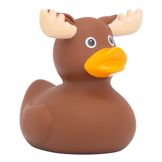 MOOSE DUCK