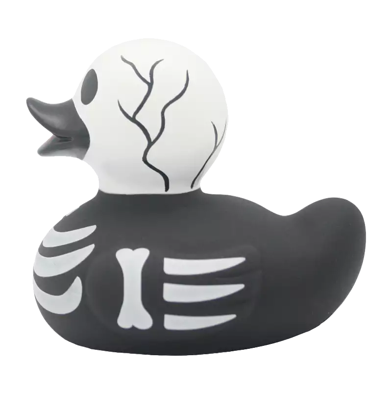 SKELETON DUCK