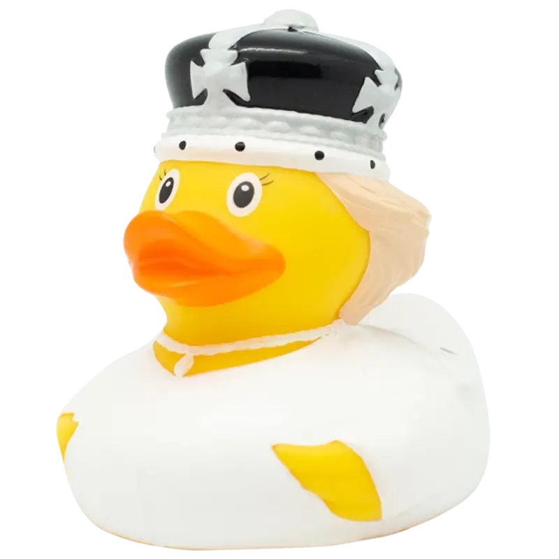 Queen C Duck