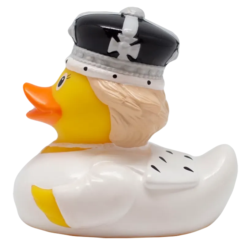 Queen C Duck