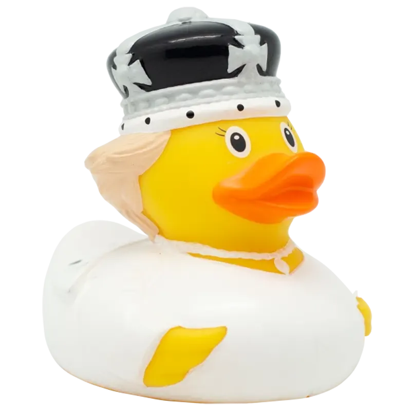 Queen C Duck