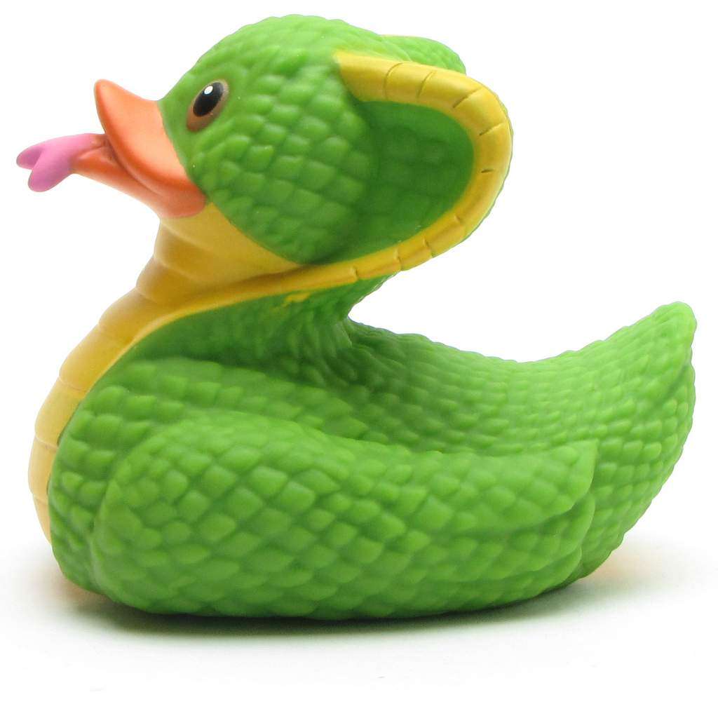 Snake Rubber Duck