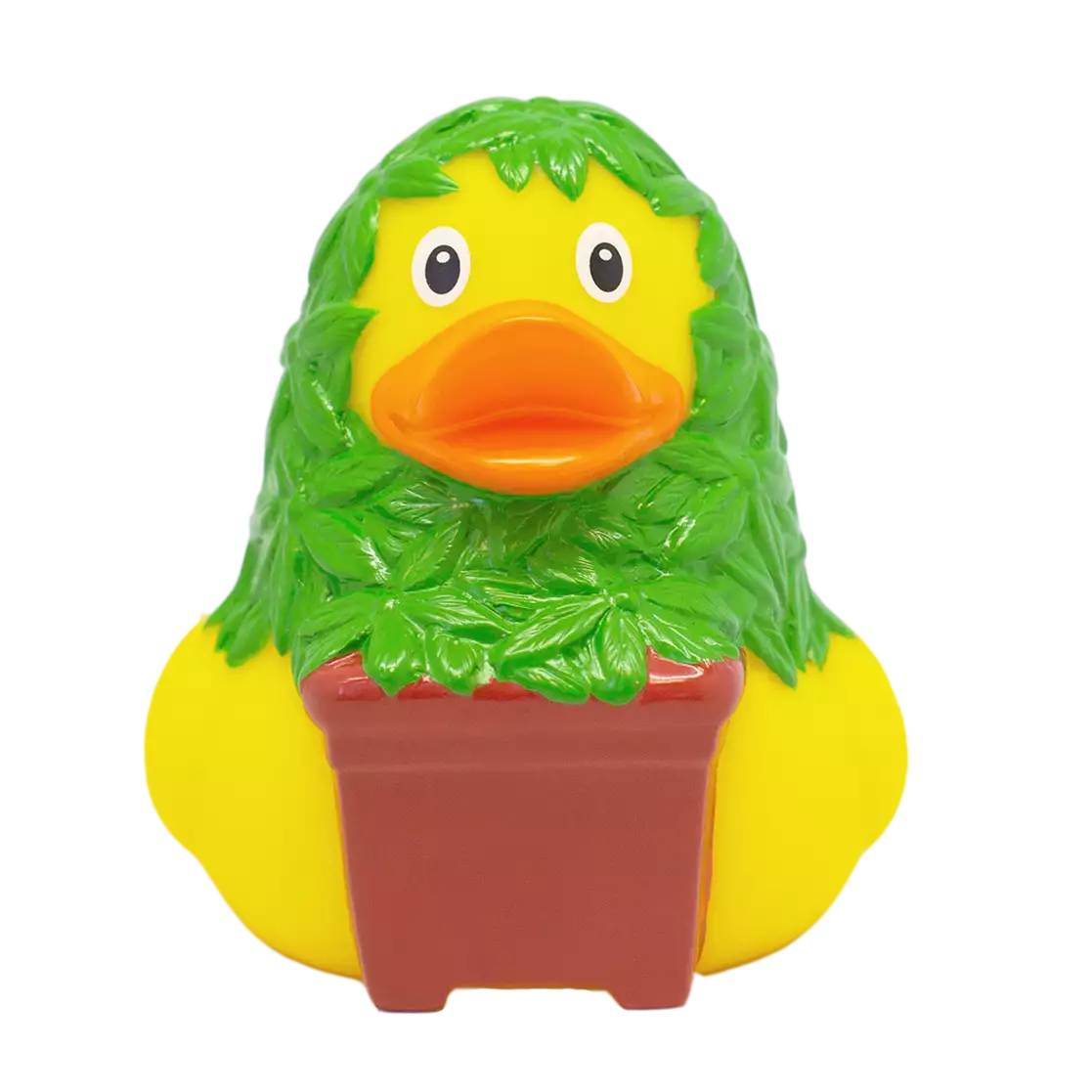 CANNABIS DUCK