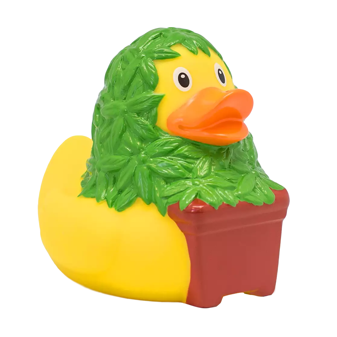 CANNABIS DUCK