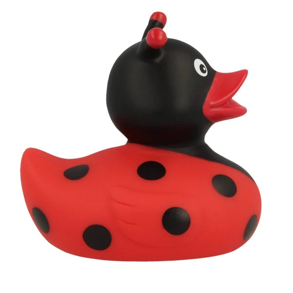 LADYBUG DUCK - GoneQwackers Duck Gift shore