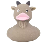 Goat Duck