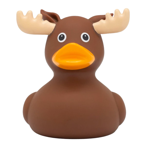 MOOSE DUCK