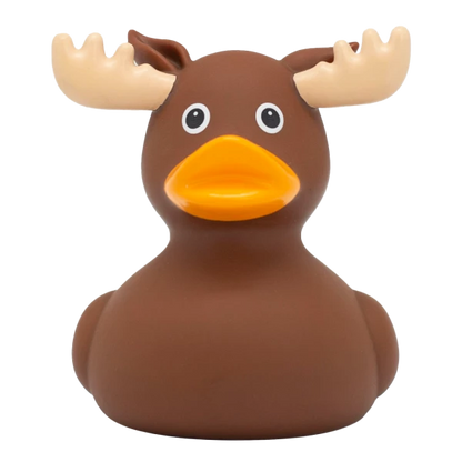 MOOSE DUCK