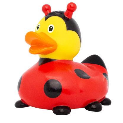 Ladybug Rubber Duck, New Design