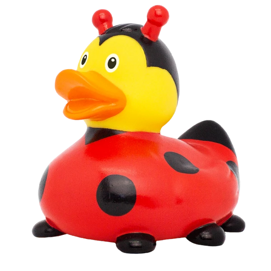 Ladybug Rubber Duck, New Design