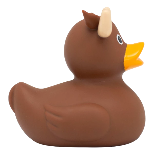 MOOSE DUCK