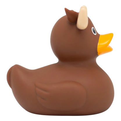 MOOSE DUCK