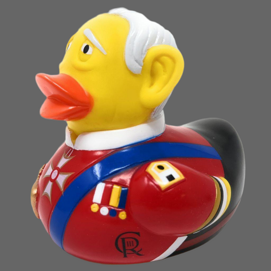 King Charles Duck