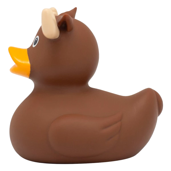 MOOSE DUCK