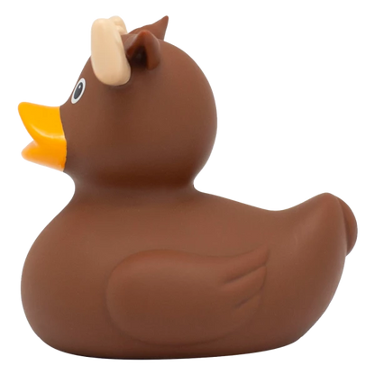 MOOSE DUCK