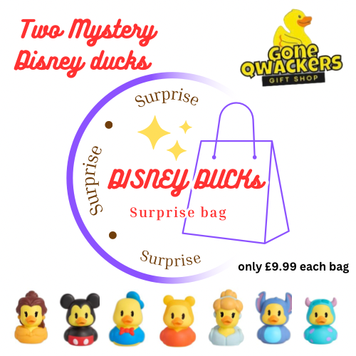 Mystery Disney Ducks - TWO disney ducks