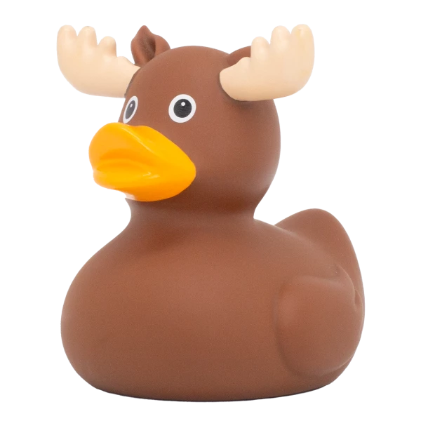MOOSE DUCK