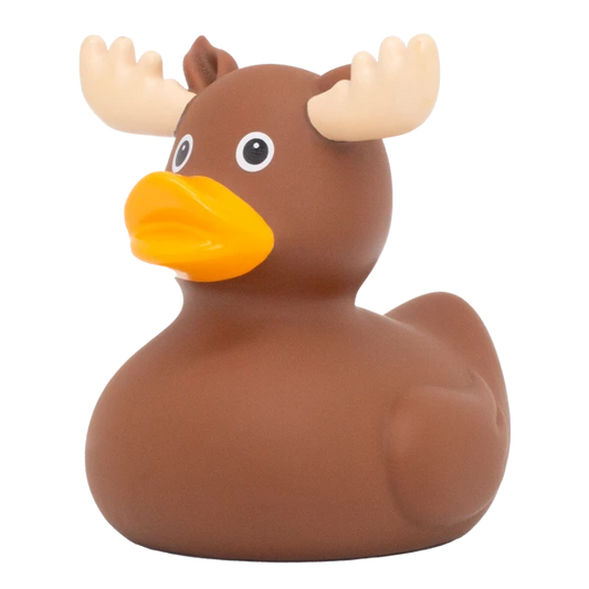 MOOSE DUCK