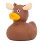 MOOSE DUCK
