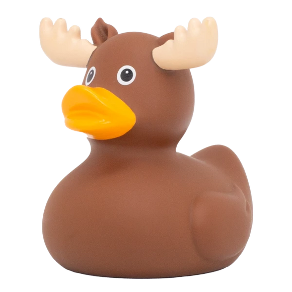 MOOSE DUCK
