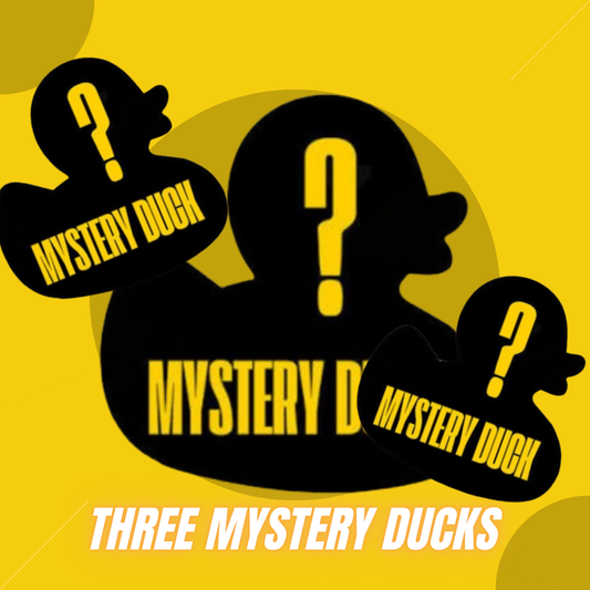 3 Mystery Rubber Ducks – Surprise Pack