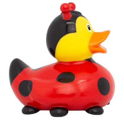 Ladybug Rubber Duck, New Design