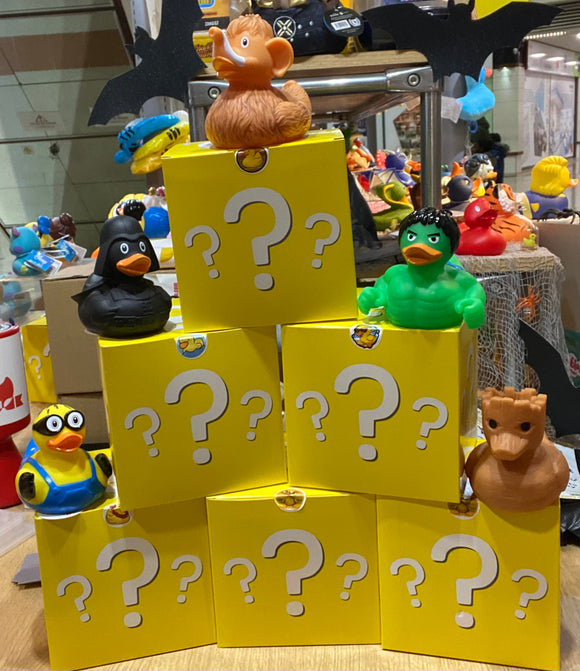 Mystery Duck Box