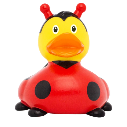 Ladybug Rubber Duck, New Design
