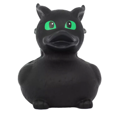 LITTLE DRAGON DUCK