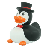 Penguin Duck