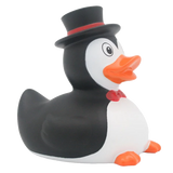 Penguin Duck