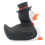 Penguin Duck