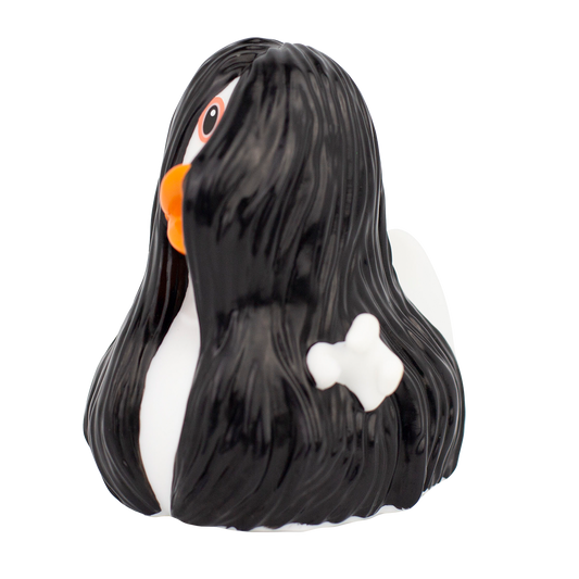 MYSTIC DUCK