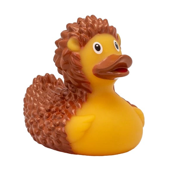 HEDGEHOG DUCK - GoneQwackers Gift Store