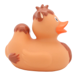 Camel Duck - GoneQwackers Rubber Duck Gift shop