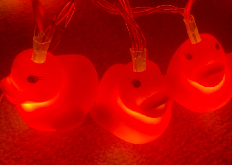 GoneQwackers Duck lights - GoneQwackers Gift Store