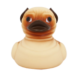 Pug Duck - GoneQwackers Rubber Duck Gift shop