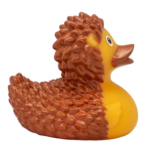 HEDGEHOG DUCK - GoneQwackers Gift Store