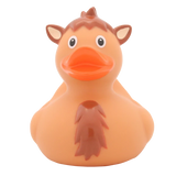 Camel Duck - GoneQwackers Rubber Duck Gift shop